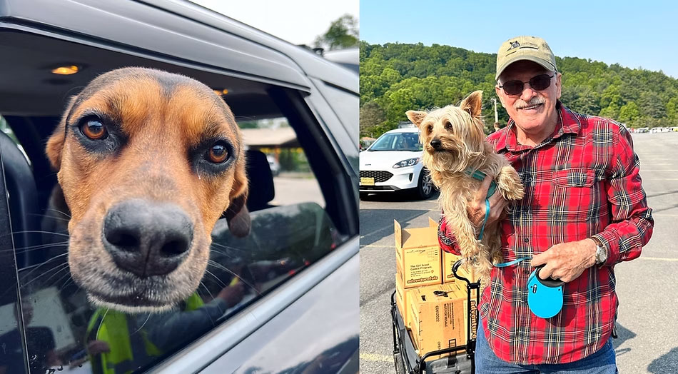 Pets of Vets